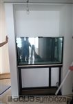 kuk01